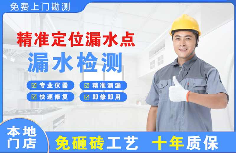 西林精准测漏点